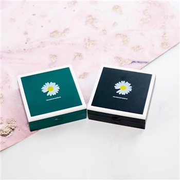 亮视伴侣盒 A-609