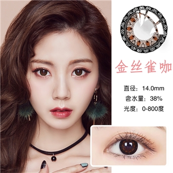 康视达洁彩年抛1片装-金丝雀巧克力